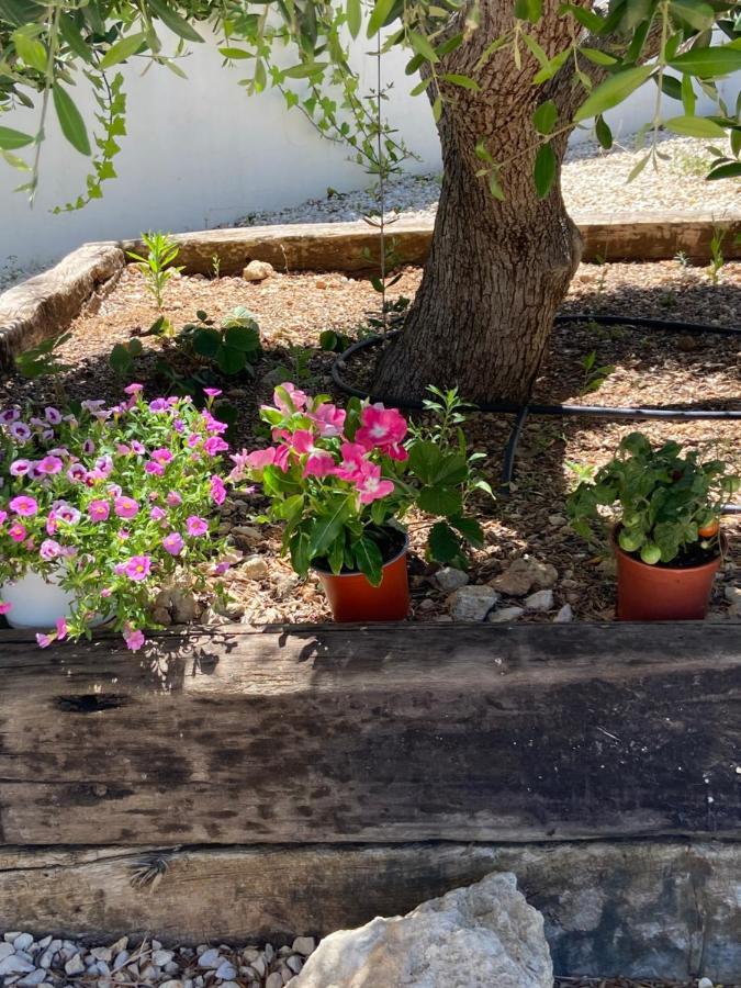 Javea Villa Entiere Piscine Et Cuisine D'Ete A Pinosol Экстерьер фото